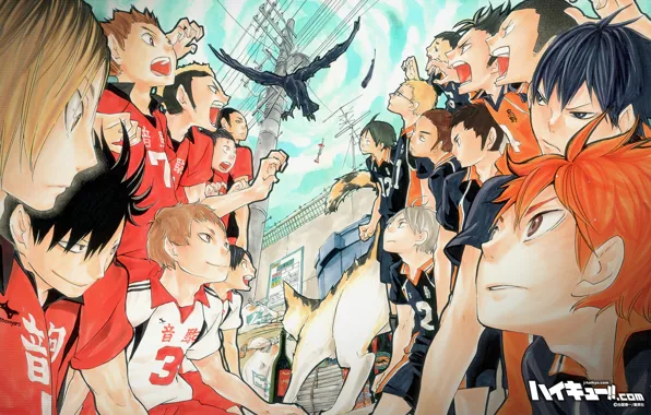 Wallpaper, sport, art, volleyball, HAIKYUU