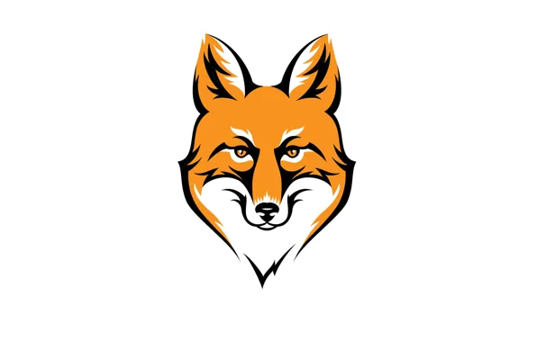 Face, animal, minimalism, head, Fox, red, fox