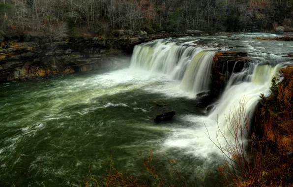 Picture forest, river, waterfall