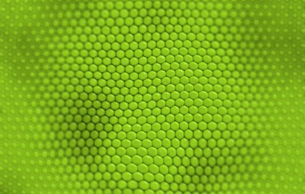 Picture texture, green, cell