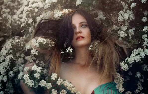 Picture look, girl, branches, face, hair, portrait, neckline, flowering