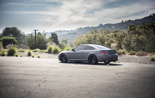 Picture the sky, clouds, trees, grey, bmw, BMW, Matt, rear view