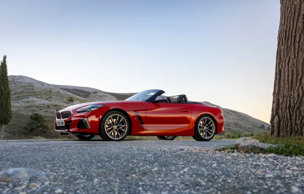 Red, BMW, Roadster, side view, BMW Z4, M40i, Z4, 2019