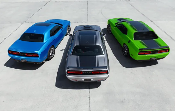 Dodge, Challenger, Trio, Muscle Cars, R/T 2015, SXT 2015