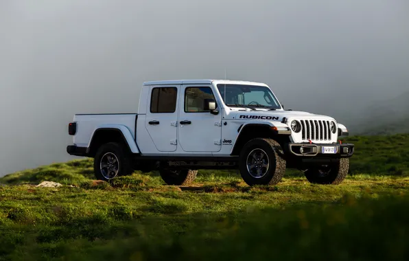 Picture white, grass, fog, SUV, haze, pickup, Gladiator, 4x4