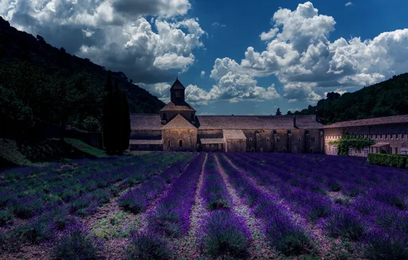 Field, summer, the sky, clouds, trees, flowers, nature, castle