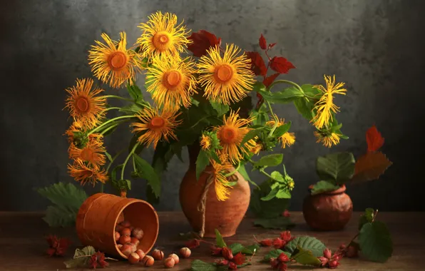 Leaves, flowers, bouquet, yellow, pot, nuts, still life, placer