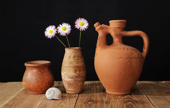 Flowers, table, shell, pots, ceramics