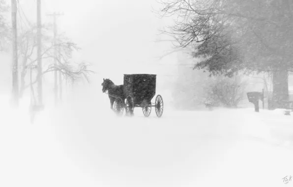 Snow, the city, coach, Blizzard