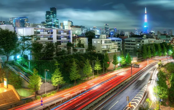 Picture light, trees, the city, lights, building, the evening