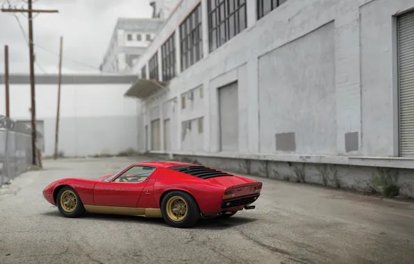 Picture Lamborghini, 1971, Miura, Lamborghini Miura P400 SV, iconic