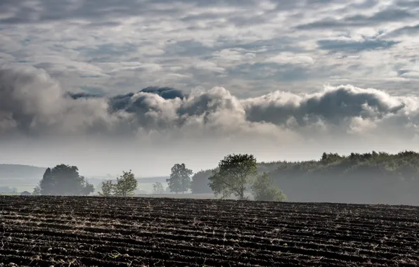 Picture field, autumn, potatoes