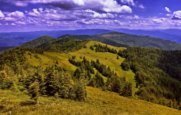 Clouds, mountains, field, Ukraine, forest, Carpathians