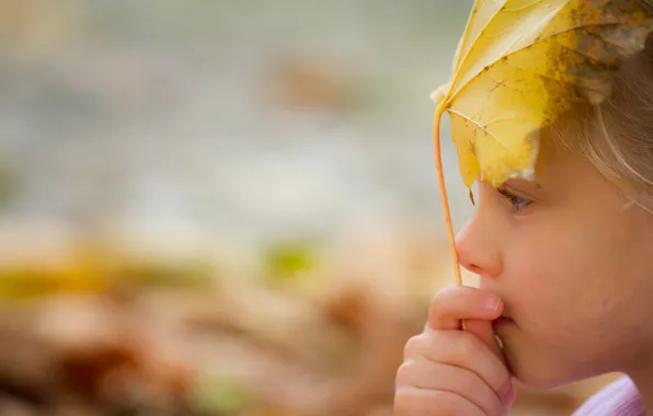 Picture autumn, leaves, girl