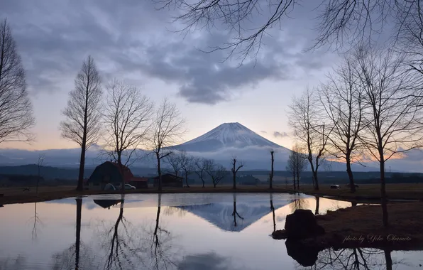 Picture trees, lake, dawn, the volcano, Yoko Okamoto
