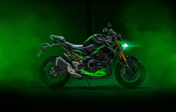 Picture Kawasaki, Green, Bikes, 2024, Sports bikes, Kawasaki Z900