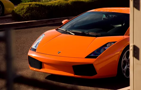 Picture orange, yellow, Lamborghini, gallardo, yellow, orange, Lamborghini