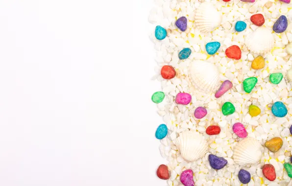 Pebbles, background, color, texture, white background, shell, colorful, items