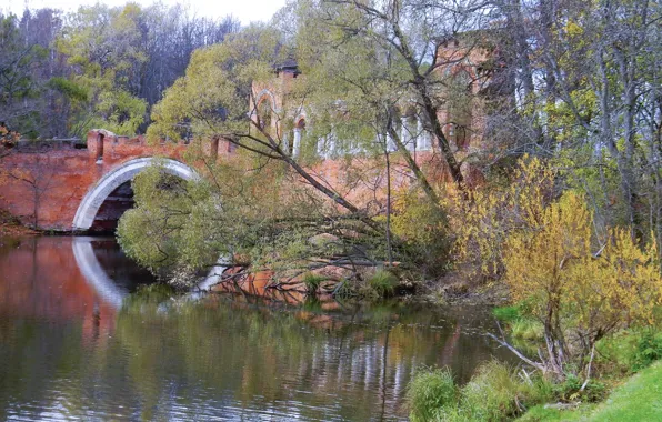 Autumn, trees, bridge, Park, river, photo, widescreen, background
