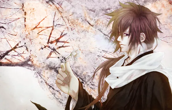 Picture flowers, spring, Sakura, guy, art. anime, souji akita