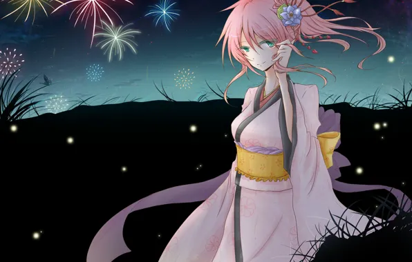Flower, girl, night, butterfly, art, fireworks, Vocaloid, Vocaloid