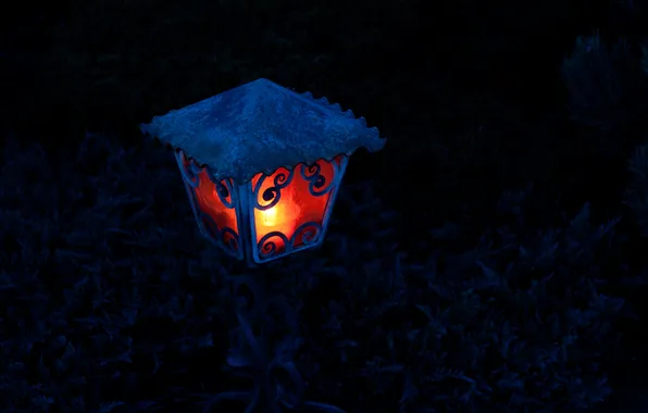Picture light, night, lantern, light, night, 2560x1600, lantern