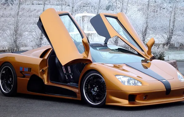 1320 HP 446км.year. up to 100km in 2.7 seconds., SSC Ultimate Aero 6.3 V-8, killer …