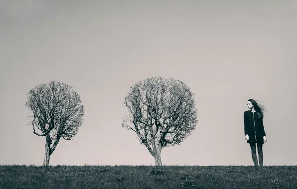 Girl, trees, the wind, Maxim Guselnikov, Ekaterina Mozhina