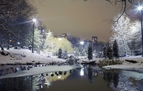 Winter, snow, trees, the city, Park, lights, rates