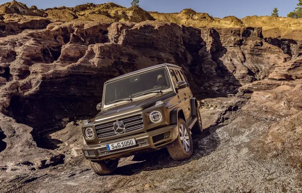 Picture Mercedes-Benz, SUV, brown, relief, 2018, G-Class