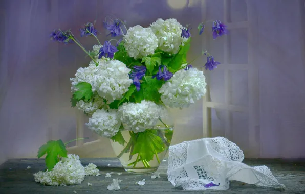 Picture flowers, night, the moon, window, vase, napkin, hydrangea, Aquilegia