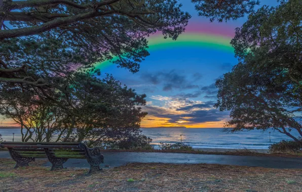 Picture sea, the sky, clouds, trees, sunset, bench, branches, coast