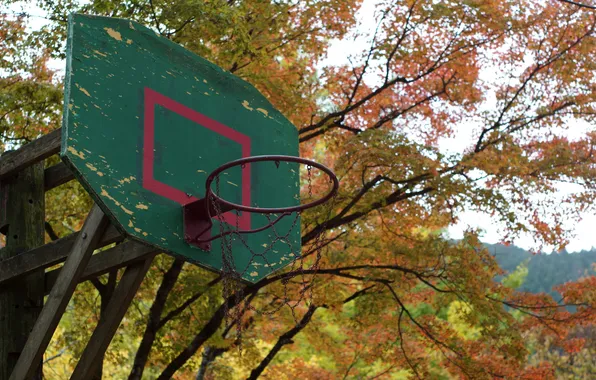 Background, sport, Basketball, shield