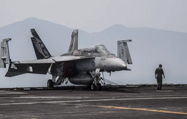 Super Hornet, carrier-based fighter, FA-18E
