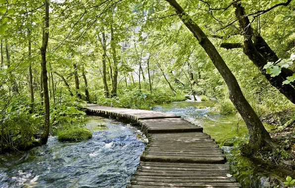 Picture water, bridge, nature, stream