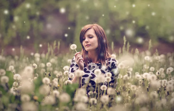 Picture girl, dandelion, glade, dress, hairstyle, brown hair, bokeh