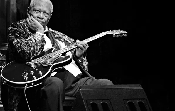 Picture music, guitar, Blues, musician, stage, Lucille, speaker, B. B. King