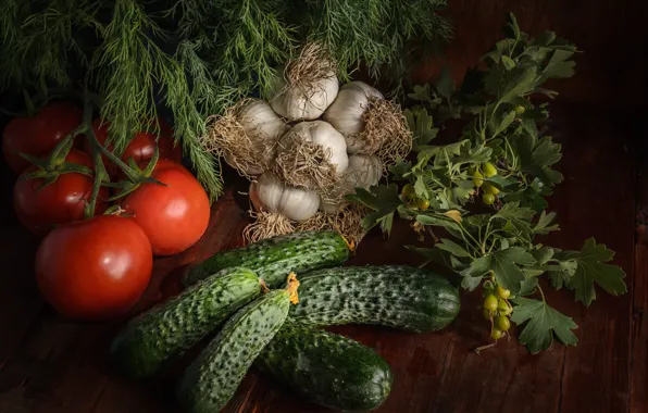 Still life, tomatoes, cucumbers, garlic