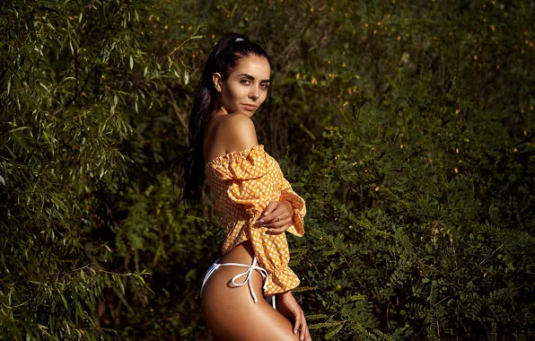 Look, the sun, branches, sexy, model, panties, makeup, figure