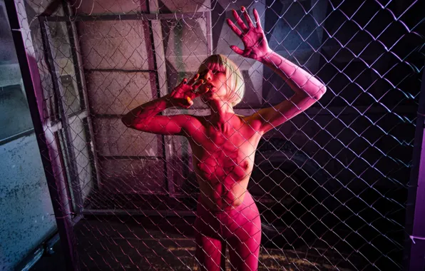 Chest, look, pose, model, makeup, figure, hairstyle, blonde