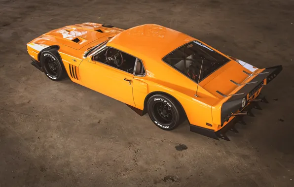 Ford, Shelby, GT500, Yellow, Retro, Machine, Orange, 1969