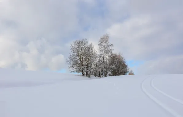 Picture winter, field, snow