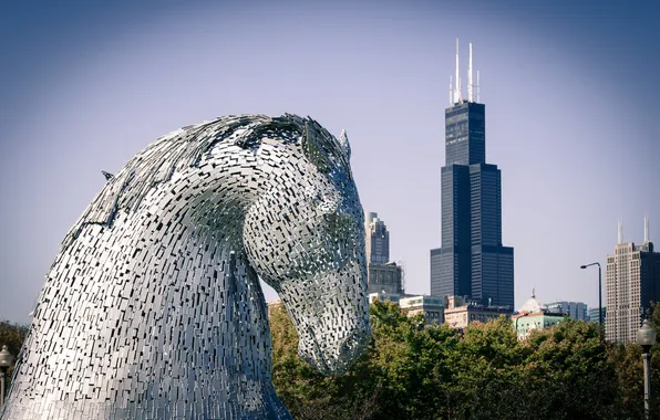 Horse, skyscrapers, America, Chicago, Chicago, USA