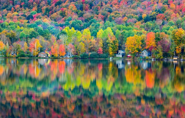 Autumn, forest, lake, reflection, home