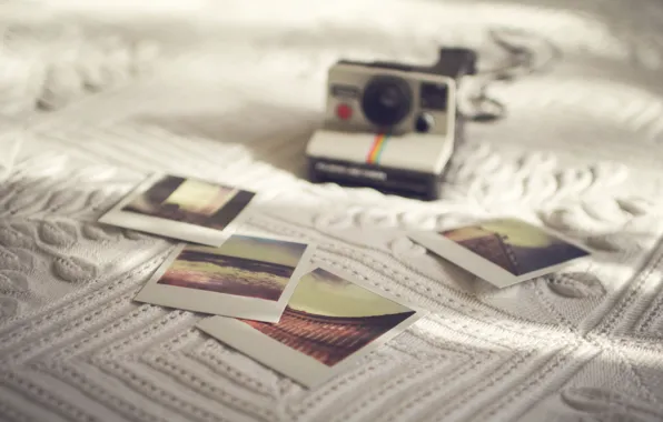 Camera, photos, sunlight, Polaroid