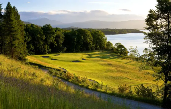 Road, greens, field, forest, grass, the sun, trees, mountains
