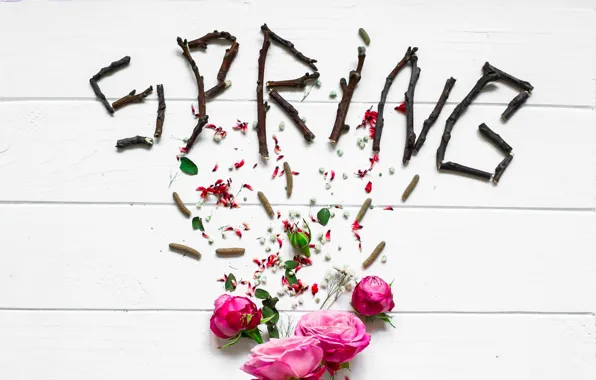 Flowers, roses, spring, petals, pink, buds, wood, pink