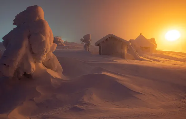 Picture winter, the sun, snow, trees, landscape, nature, houses, Lapland