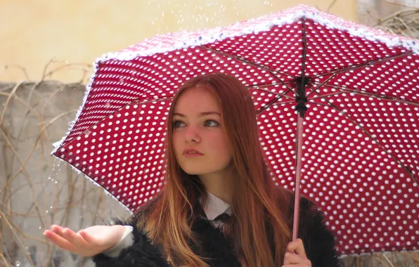 Street, Girl, umbrella