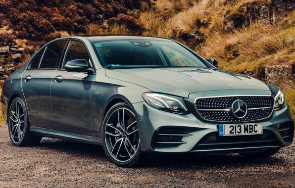 Sand, car, machine, nature, grey, Mercedes-Benz, Mercedes, Mercedes